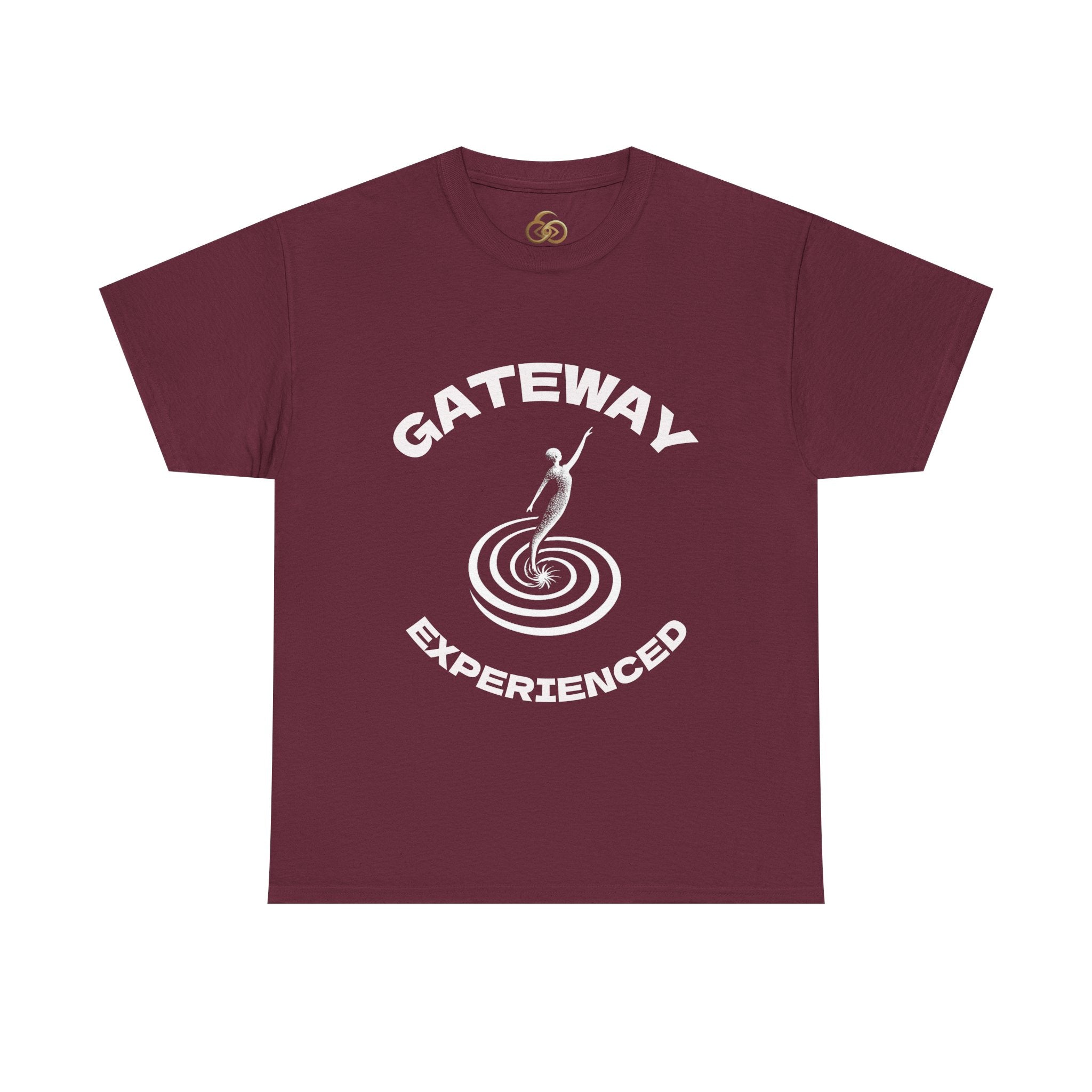 Gateway Experienced T-Shirt Dark — Retro Spiral Rider Graphic Tee