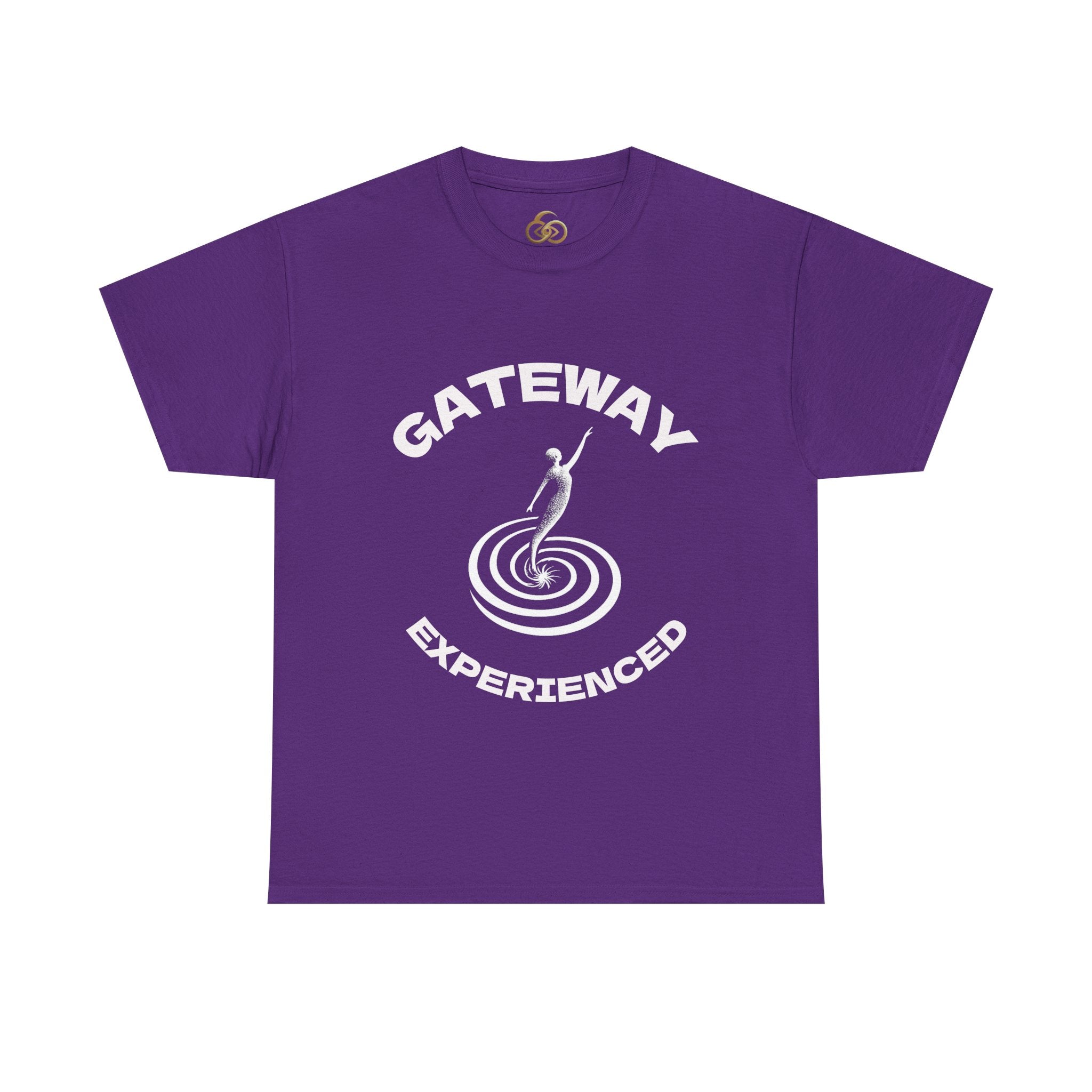 Gateway Experienced T-Shirt Dark — Retro Spiral Rider Graphic Tee